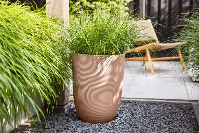 sereh hoch 40cm kühler Ton